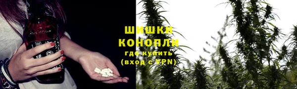 apvp Балабаново