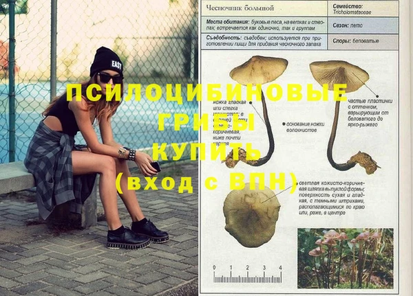 мдпв Баксан