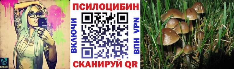 как найти закладки  Белово  Галлюциногенные грибы MAGIC MUSHROOMS 