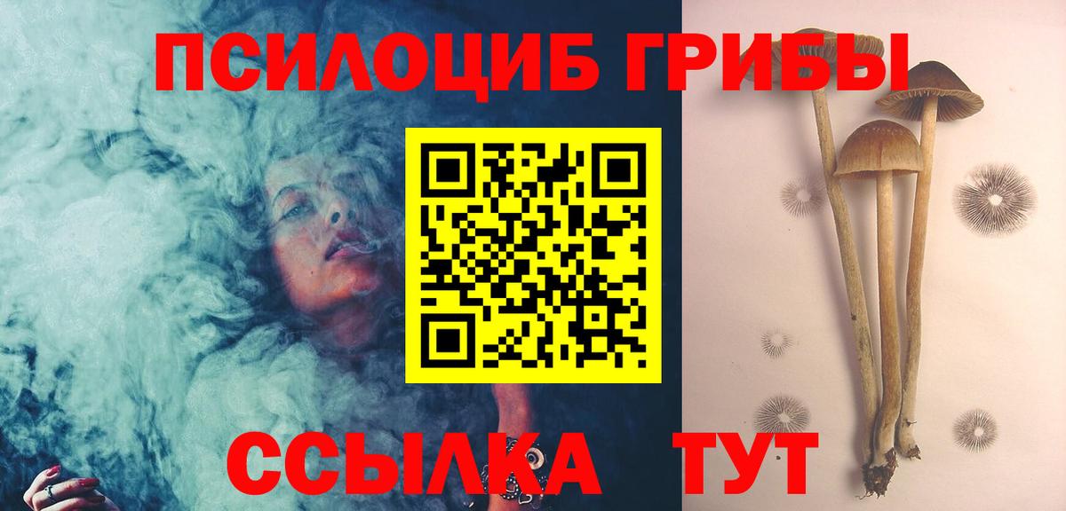Лсд 25 Белово